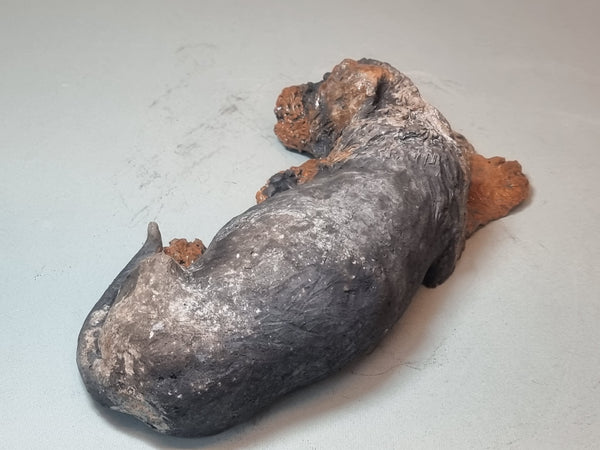 Sleepy Sausage - Wirehaired Dachshund Sculpture