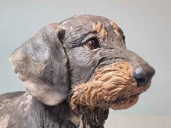 Little Woozler - Wirehaired Dachshund Sculpture