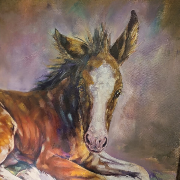 Apollo - Oil on Canvas