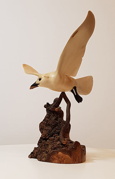 Ivory Gull - Original Wood Carving
