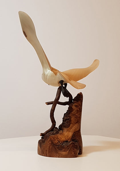 Ivory Gull - Original Wood Carving