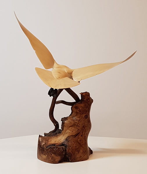 Ivory Gull - Original Wood Carving