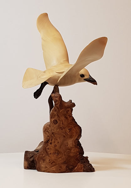 Ivory Gull - Original Wood Carving