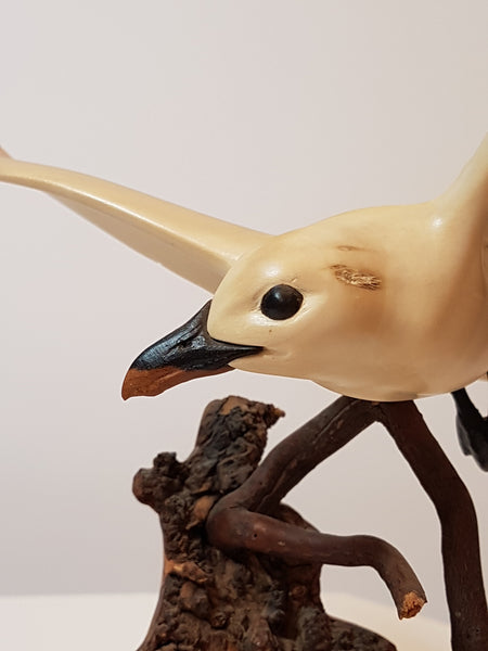 Ivory Gull - Original Wood Carving