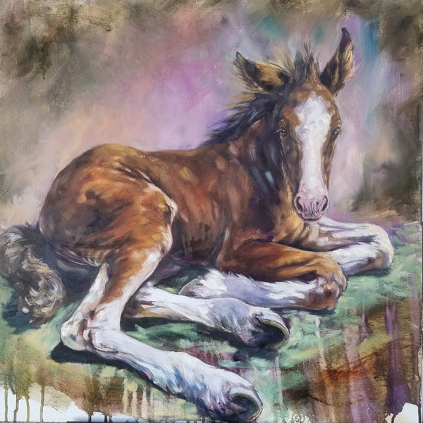 Apollo - Oil on Canvas