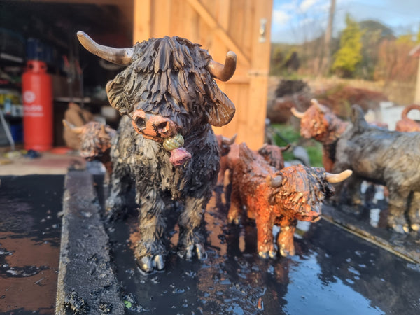 ORDER - BIG Wee Hairy Heelan's - Black Coo