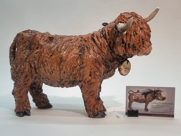 Charlie - BIG Wee Hairy Heelan's