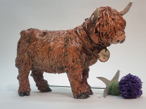 Charlie - BIG Wee Hairy Heelan's