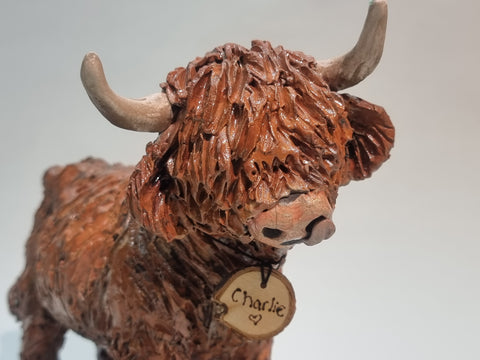 Charlie - BIG Wee Hairy Heelan's