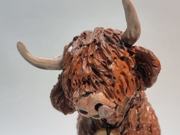 Charlie - BIG Wee Hairy Heelan's