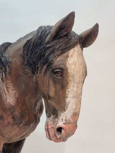 COMMISSION ONLY - Large Clydesdale Sculpture