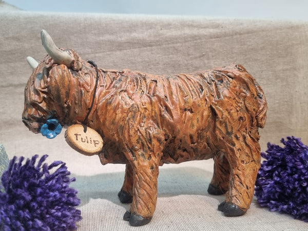 Crocus - Wee Hairy Heelan's - Ginger Coo