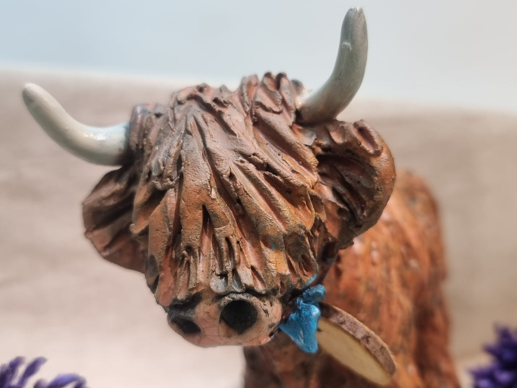 Crocus - Wee Hairy Heelan's - Ginger Coo