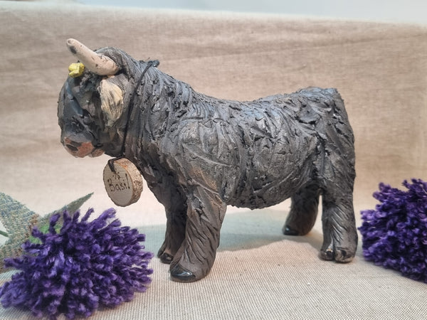 Basil - Wee Hairy Heelan's - Black Coo