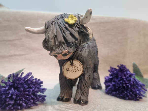 Basil - Wee Hairy Heelan's - Black Coo