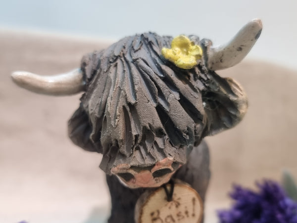 Basil - Wee Hairy Heelan's - Black Coo