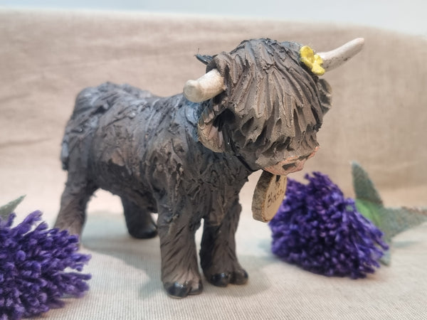 Basil - Wee Hairy Heelan's - Black Coo