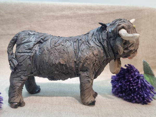 Basil - Wee Hairy Heelan's - Black Coo