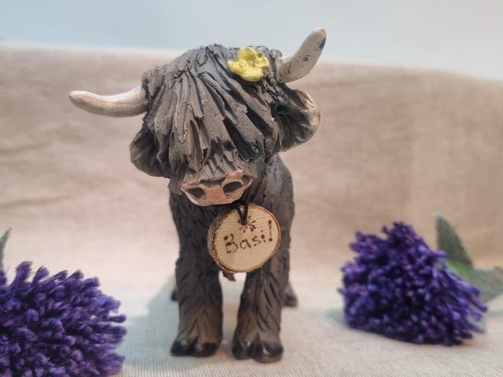 Basil - Wee Hairy Heelan's - Black Coo