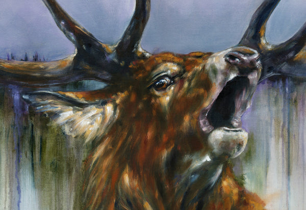 Dawn Call - A Portrait of a Highland Red Deer Stag