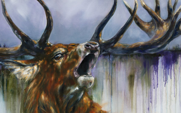 Dawn Call - A Portrait of a Highland Red Deer Stag