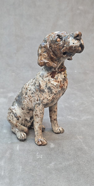 ORDER PAGE - Small size - Daft Dugs