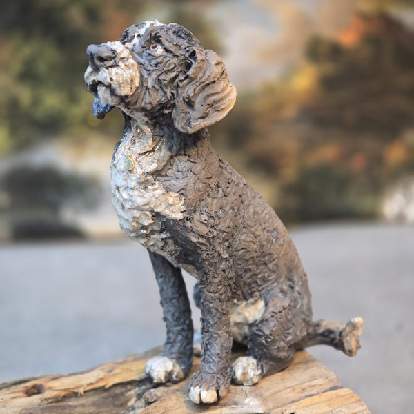 ORDER PAGE - Small size - Daft Dugs