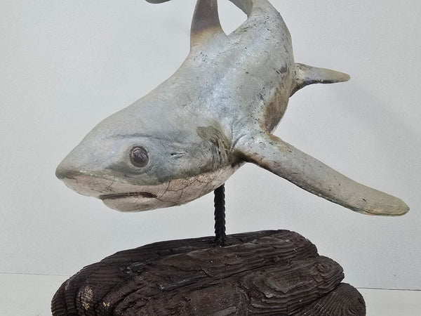 Thresher Shark - Raku Animal Sculpture