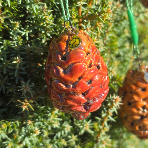 Pine Cone