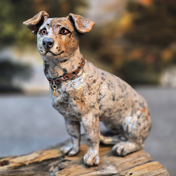 ORDER PAGE - Small size - Daft Dugs
