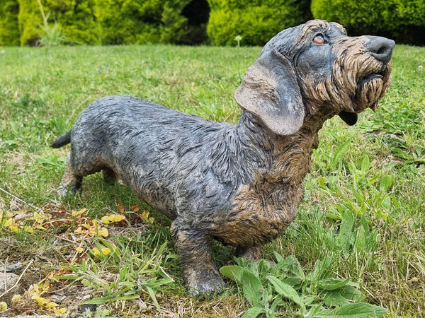 Sir Timothy, Wirehaired Dachshund - Raku Animal Sculpture