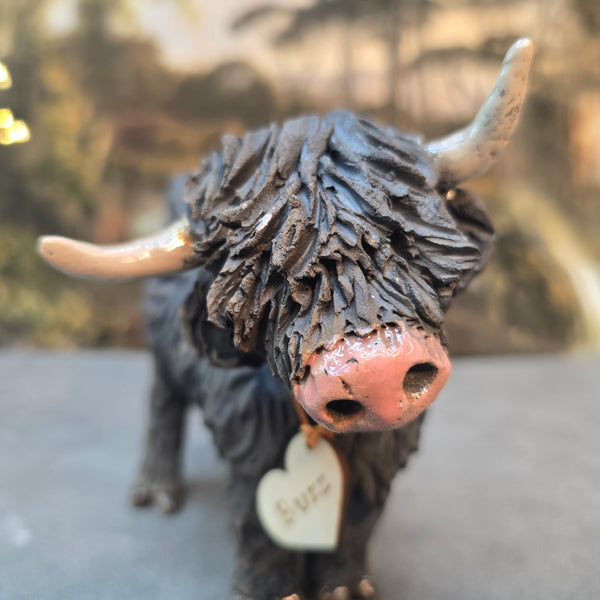 Buzz - Wee Hairy Heelan