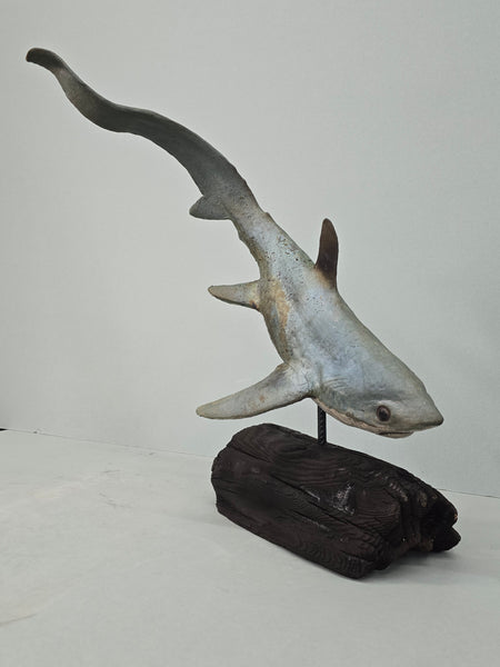 Thresher Shark - Raku Animal Sculpture