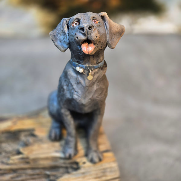 ORDER PAGE - Small size - Daft Dugs