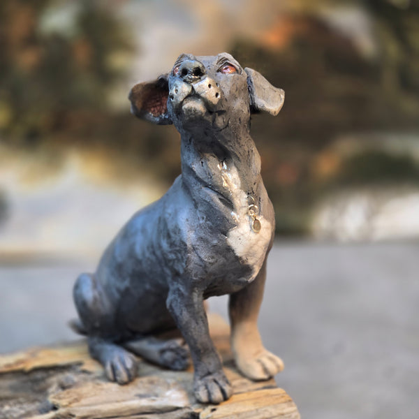 ORDER PAGE - Small size - Daft Dugs