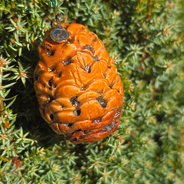 Pine Cone