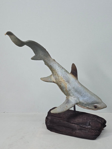 Thresher Shark - Raku Animal Sculpture