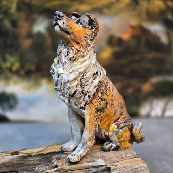 ORDER PAGE - Small size - Daft Dugs
