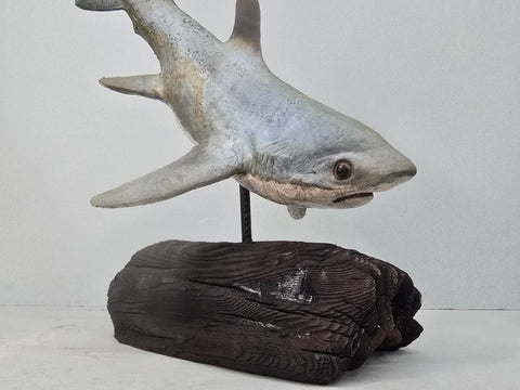 Thresher Shark - Raku Animal Sculpture