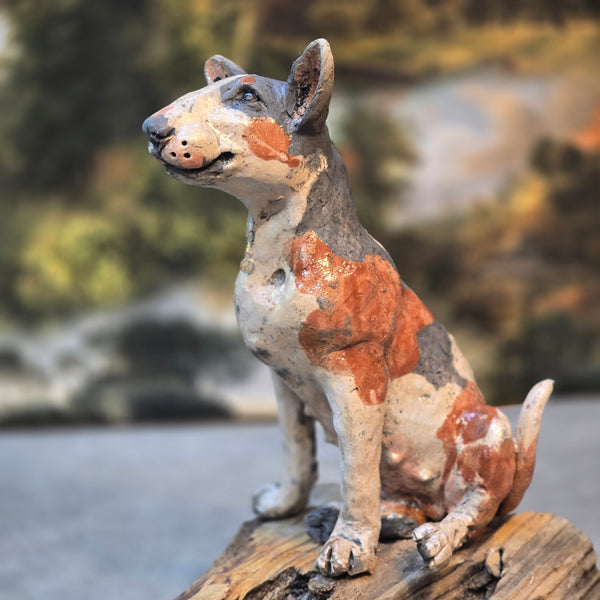 ORDER PAGE - Small size - Daft Dugs