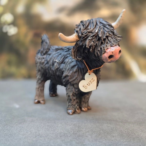 Buzz - Wee Hairy Heelan