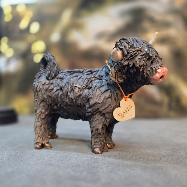 Buzz - Wee Hairy Heelan