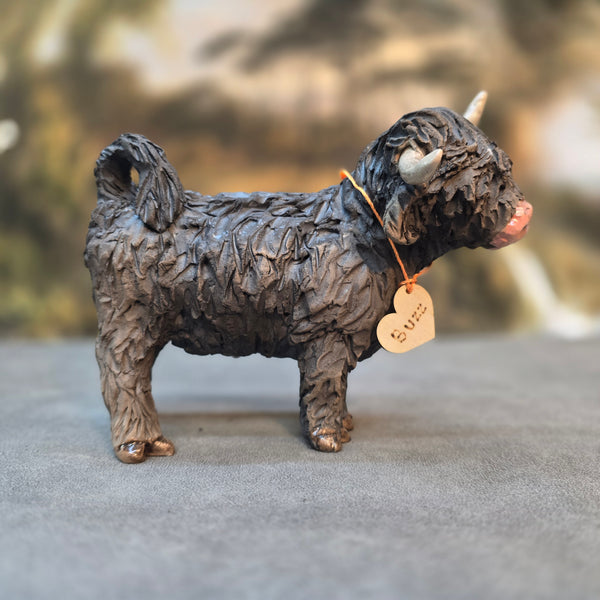 Buzz - Wee Hairy Heelan