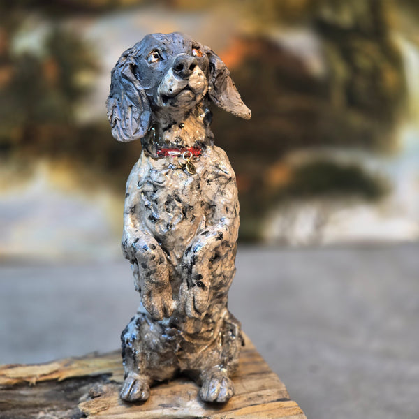 ORDER PAGE - Small size - Daft Dugs