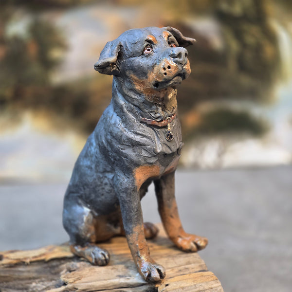ORDER PAGE - Small size - Daft Dugs