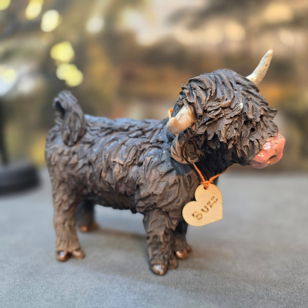 Buzz - Wee Hairy Heelan