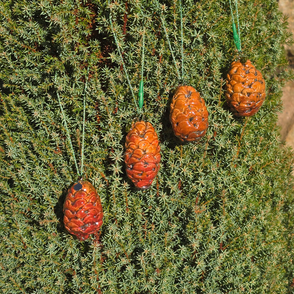 Pine Cone