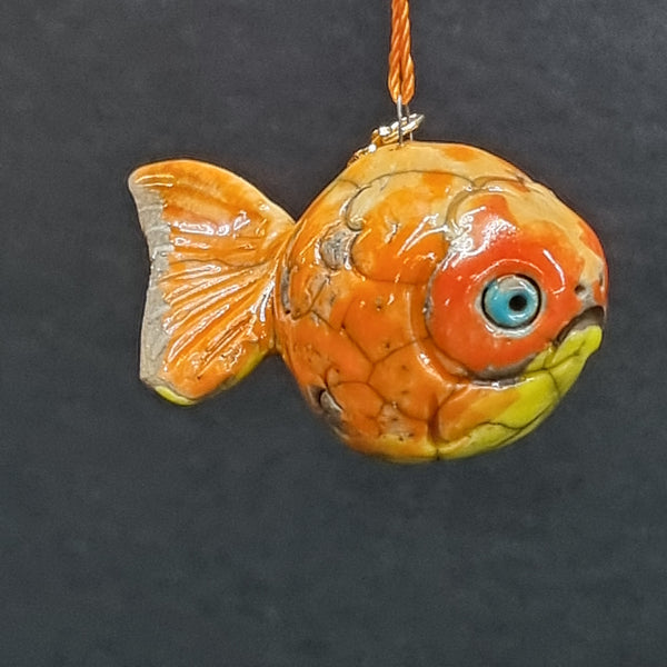 Lionhead Goldfish