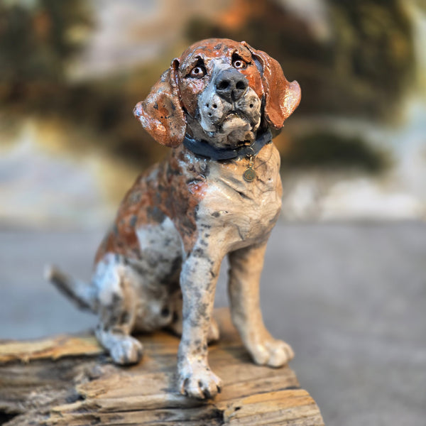 ORDER PAGE - Small size - Daft Dugs