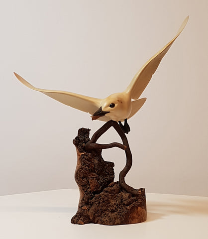 Ivory Gull - Original Wood Carving